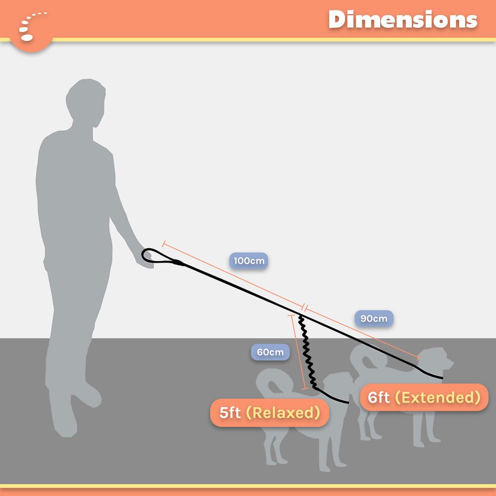 Zenify Pets Double Dog Leash Tangle-Free Bungee - Image 6