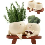 Novelty Smile Design Succulent Flower Pot for Home Garden
