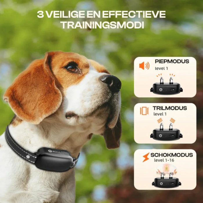 Collier_de_dressage_electrique_pour_chien_avec_telecommande__etanche__16_niveaux_de_choc_reglables__portee_de_1000_m__modes_bip_et_vibration_3